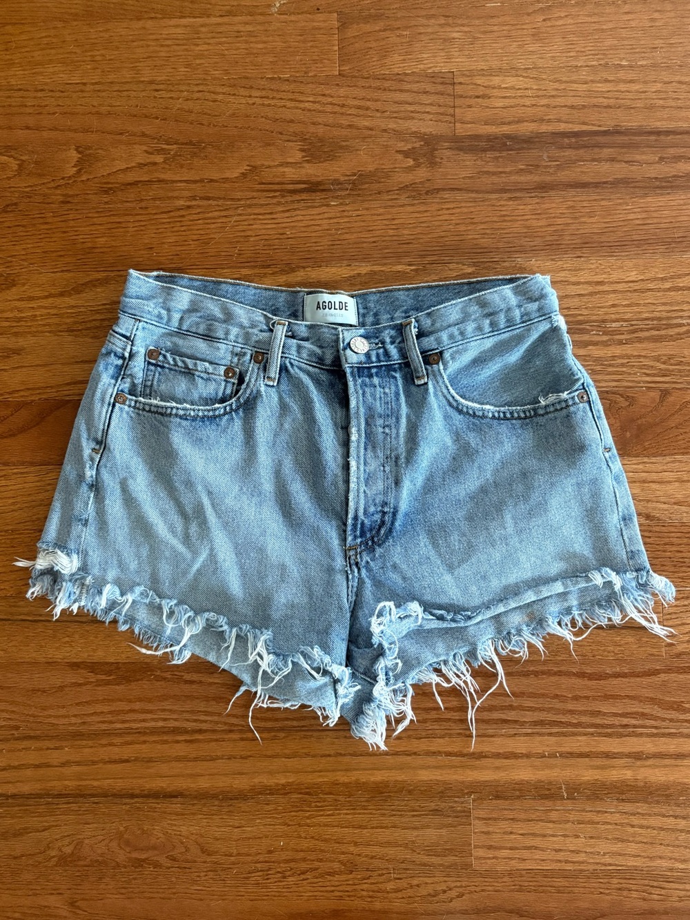 AGOLDE Parker Vintage Cut Off Shorts in Riptide